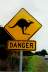 Vorsicht vor gefährlichen Kangurus