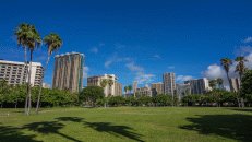 Der Ainahau Triangle Park ist eigentlich nur eine große Wiese mit Blick auf die Hochhäuser Waikikis.