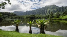 Der See im Park hört auf den schönen Namen Loko Waimaluhia ("in friedlichen Gewässern").