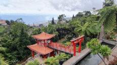 Spaß macht auch das Streunen durch den tropischen Garten "Monte Palace Madeira".