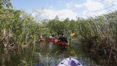 Dann steigen wir für die Alligatorensuche ins Kayak um...