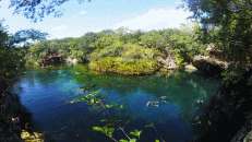 Die El Eden-Cenote ist bei Tauchern und Schnorchlern gleichermaßen beliebt.