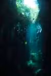 Auftauchen in "The Pit"