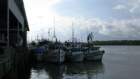 Fischkutter in den Docks von Puntarenas