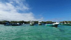Boote im Hafen von Puerto Villamil