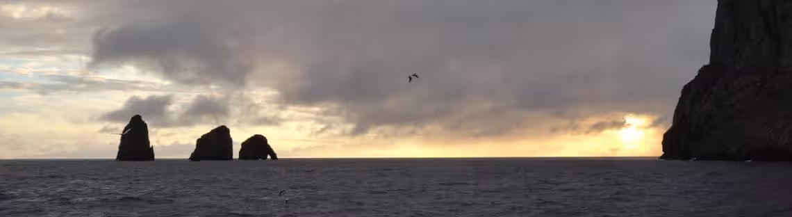 Die drei Musketiere vor Malpelo