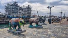 Seit 2023 stehen an der Waterfront zehn Nashorn-Skulpturen als Teil des Kunstprojekts „The Rhinos Are Coming“. Ziel des Projekts ist es, auf die drohende Ausrottung der Nashörner aufmerksam zu machen und Spenden für StopRhinoPoaching.com zu sammeln.