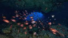 In der Grotte geht es wieder hoch her.