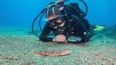 Nachdem Bernd Freundschaft mit einem Eidechsenfisch geschlossen hat, ...