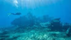 ... brechen wir zu einem Überflug übers Wrack auf.