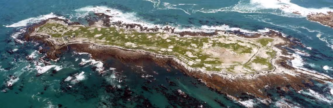Dyer Island