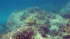 So sieht größtenteils das "Korallenriff" an den Rachas aus.